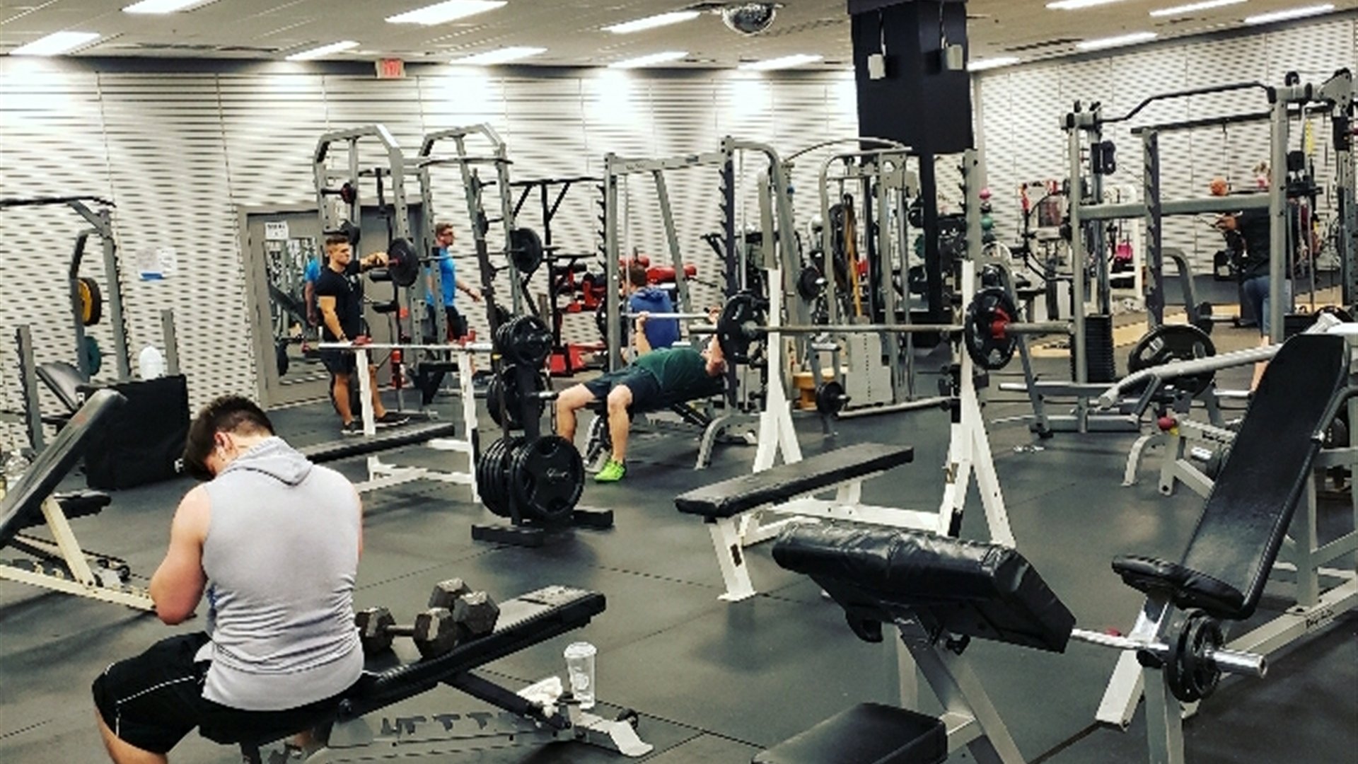 Members training on the Apex Fitness Center gym floor